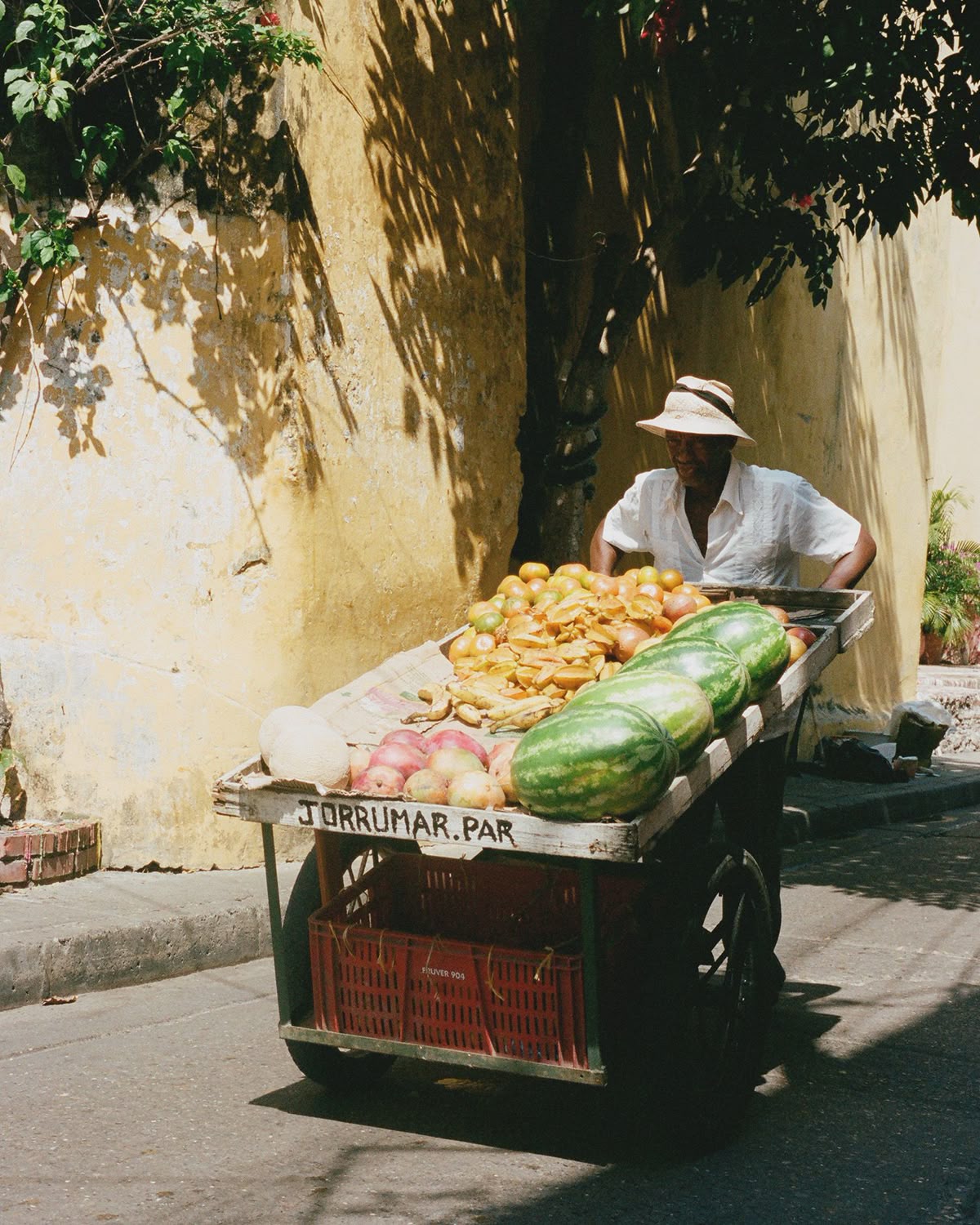 Una imagen que va más allá de los clichés tropicales del continente.