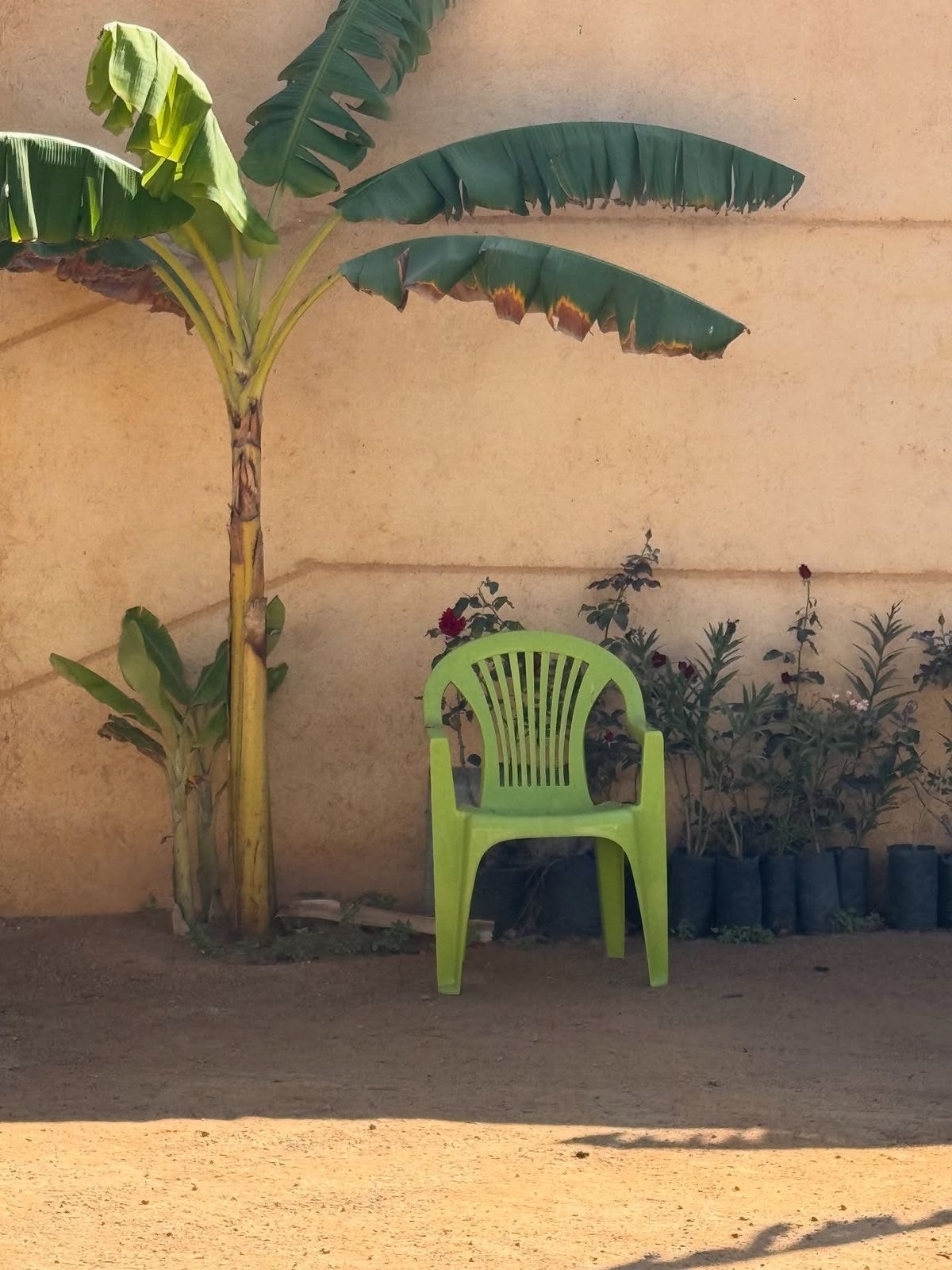 Ciudad estratificada, la naturaleza abriéndose paso — dos.